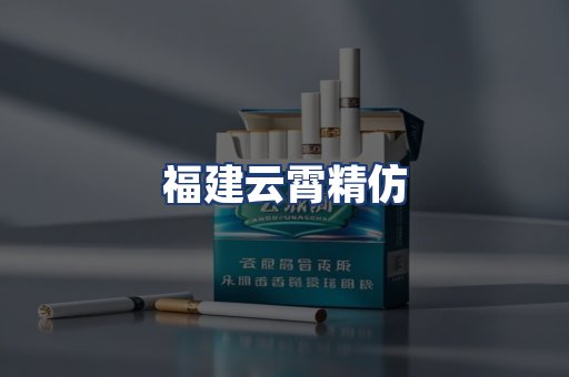 福建云霄精仿